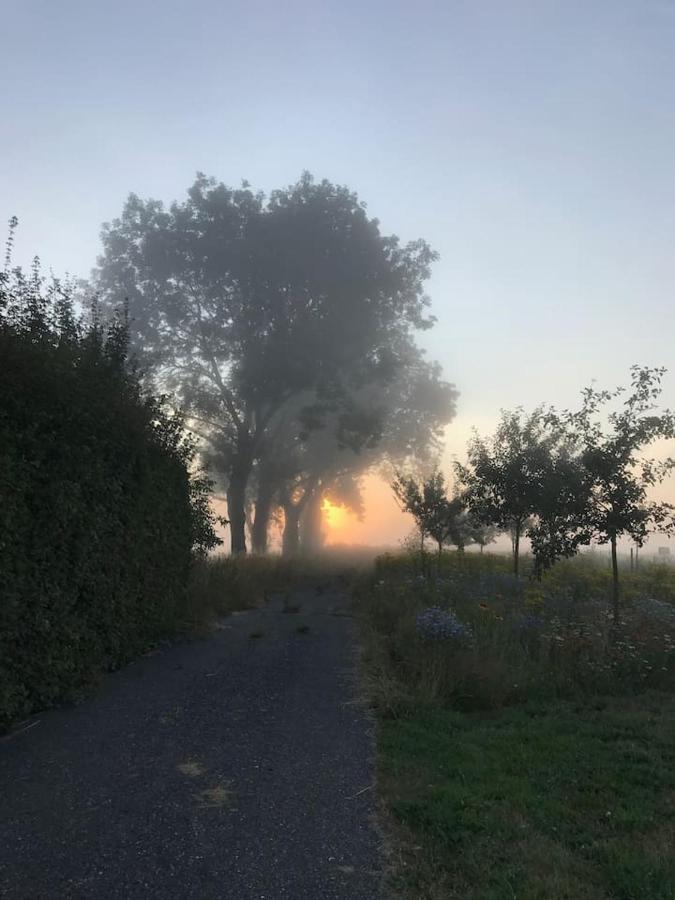 Zomerdijk-Inn Zuid Wanneperveen Экстерьер фото